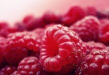 Uterus Transplantation Procedure Fails due to Complications