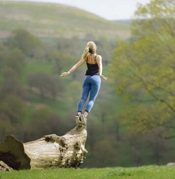 How Cells Are Wired to Survive Radiation Therapy